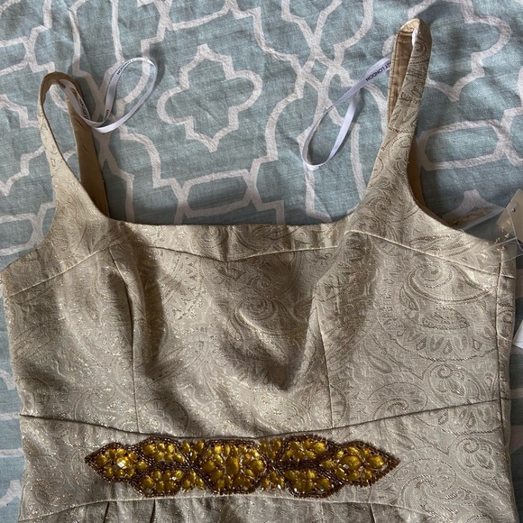 Cream and Gold Dress - Picture 8 of 9